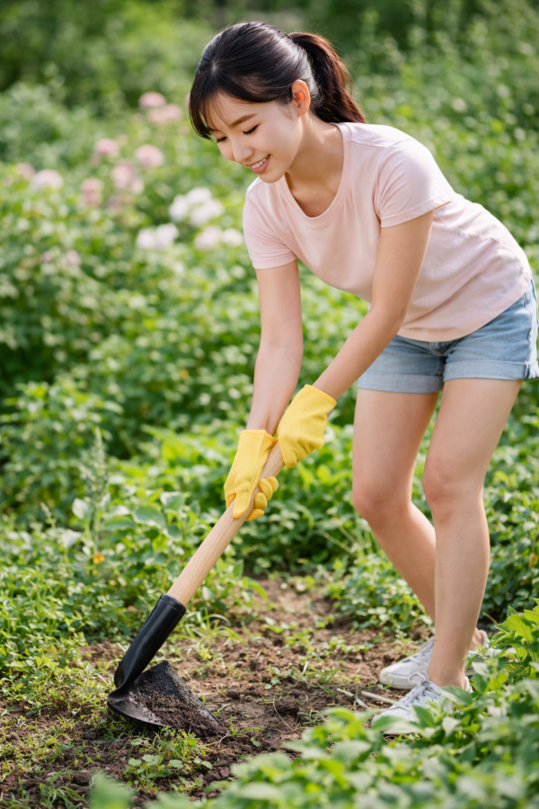 ChatGPT Image Apr 5 2026 11 33 36 AM